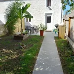 Grenouille * Vix (Vendee)