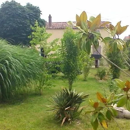 Cagouille * Vix (Vendee)