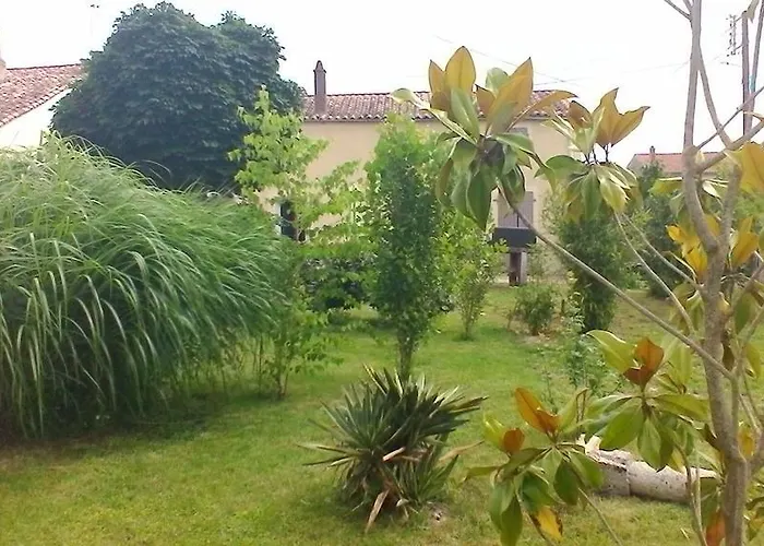 Cagouille * Vix (Vendee)